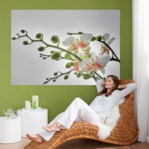 Wg Painel Fotográfico 1-608 | Consultar disponibilidade do Produto |