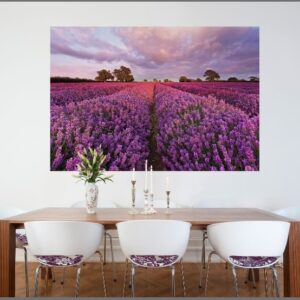 Wg Painel Fotográfico 1-615 | Consultar disponibilidade do Produto |
