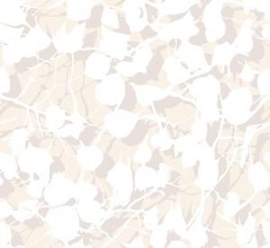 Papel de Parede Cartier 10802 “Consultar disponibilidade e forma de envio do Produto 19 9 8750-5835”