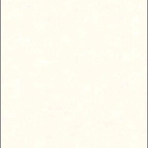 Papel de Parede Enjoy 11162206