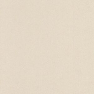 Papel de Parede Infantil Les Aventures 3 23110117 Liso com brilho Tom de Bege