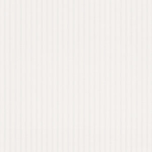 Papel de Parede Simply White 256218