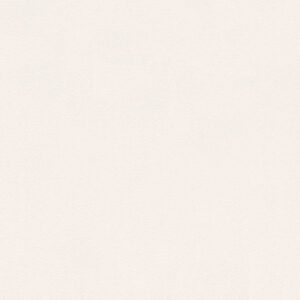 Papel de Parede Vinílico Life 4 296511 Liso com leve brilho Tom Branco