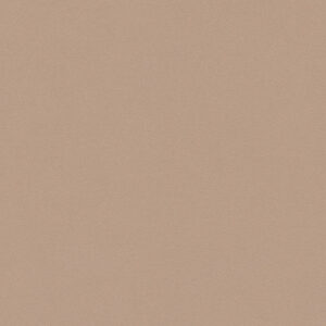 Papel de Parede Vinílico Life 4 303233 Liso com leve brilho Tom de Bege médio