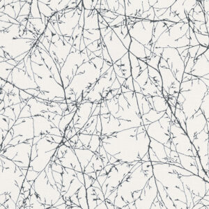 Papel de Parede Elegance 3 305073 Jvn