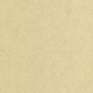 Papel de Parede Pure Jvn 33-343