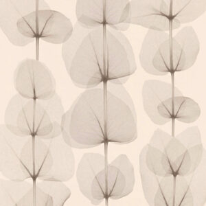 Papel de Parede Summertime 342451