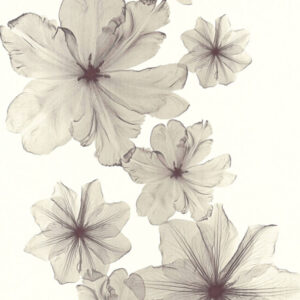 Papel de Parede Summertime 342722