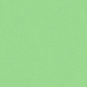 Papel de Parede Vinílico Life 4 356598 Liso Tom de Verde