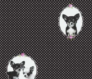 Papel de Parede Infantil Little Stars 358512