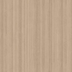 Papel de Parede Steampunk CG45182