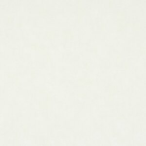 Papel de Parede The Garden of Amsterdan 46122