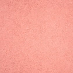 Papel de Parede Fleurs 51009