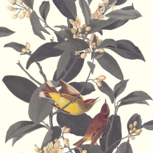 Papel de Parede Retro Vintage 51175509 | Consultar disponibilidade do Produto |