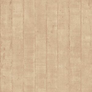 Papel de Parede Steampunk CG56239