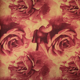 Papel de Parede Bright Wall 660801 “Consultar disponibilidade do Produto 19 9 8750-5835”