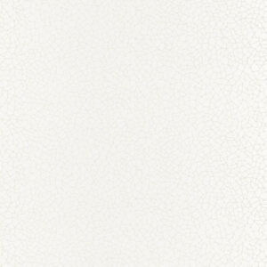 Papel de Parede Shine 68590008 | Consultar disponibilidade do Produto |