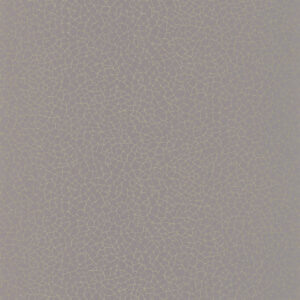 Papel de Parede Shine 68599023 | Consultar disponibilidade do Produto |