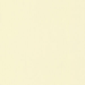 Papel de Parede Simply White 705693