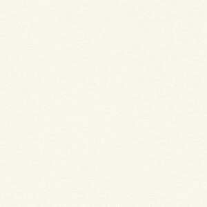 Papel de Parede Simply White 955165