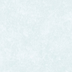 Papel de Parede Abby Rose 3 AB27666 “Consultar disponibilidade do Produto”