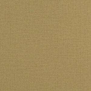 Papel de Parede Fashion Wall CA41305