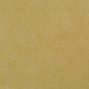Papel de Parede Fashion Wall CA41504