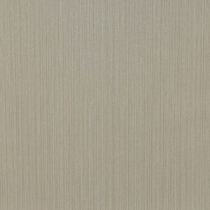 Papel de Parede Fashion Wall CA41804