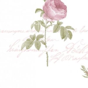 Papel de Parede Rose Garden 2 CG28820 | Consultar disponibilidade do Produto |