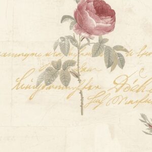 Papel de Parede Rose Garden 2 CG28860 | Consultar disponibilidade do Produto |