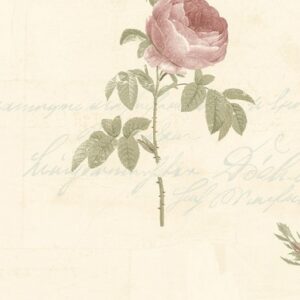 Papel de Parede Rose Garden 2 CG28861 | Consultar disponibilidade do Produto |