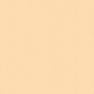 Papel de Parede Choice Premier CP9052 “Consultar disponibilidade do Produto 19 9 8750-5835”