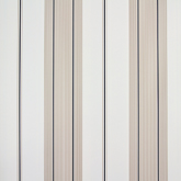 Papel de Parede Classic Stripes CT889039 “Consultar disponibilidade do Produto 19 9 8750-5835”