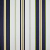 Papel de Parede Classic Stripes CT889066 “Consultar disponibilidade do Produto 19 9 8750-5835”
