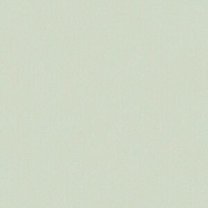 Papel de Parede Modern Nature CZ2408