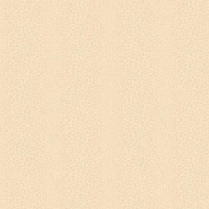 Papel de Parede Modern Nature CZ2449