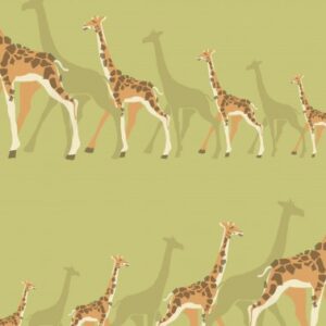 Papel de Parede Infantil Dwell Studio Baby Kids DW2364 “Consultar disponibilidade do Produto 19 9 8750-5835”