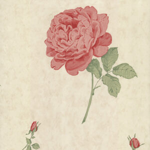 Papel de Parede Elizabeth Ockford EO00141 | Consultar disponibilidade do Produto |