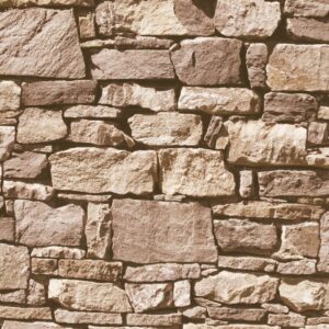 Papel de Parede Roll in Stones J457-08