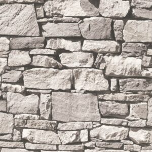 Papel de Parede Roll in Stones J457-09