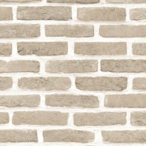 Papel de Parede Roll in Stones J666-07