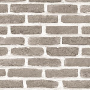 Papel de Parede Roll in Stones J666-18