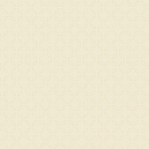 Papel de Parede Dimensional Efects TD4765 | Consultar disponibilidade do Produto |