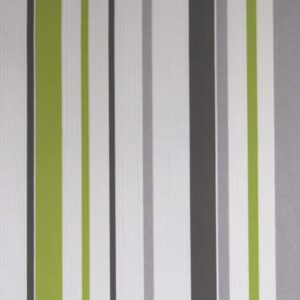 Papel de Parede Happy HP310003