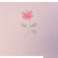 Papel de Parede Happy Time B5-0403 "Consultar disponibilidade do Produto 19 9 8750-5835"