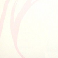 Papel de Parede Happy Time B5-0503 "Consultar disponibilidade do Produto 19 9 8750-5835"