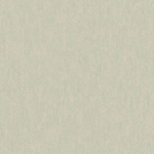 Papel de Parede St Augustine BQ3845