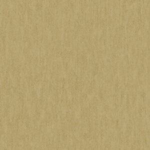 Papel de Parede St Augustine BQ3849