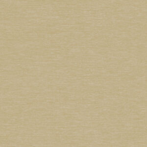 Papel de Parede St Augustine BQ3866