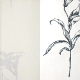 Papel de Parede Brera 28101 | Consultar disponibilidade do Produto |